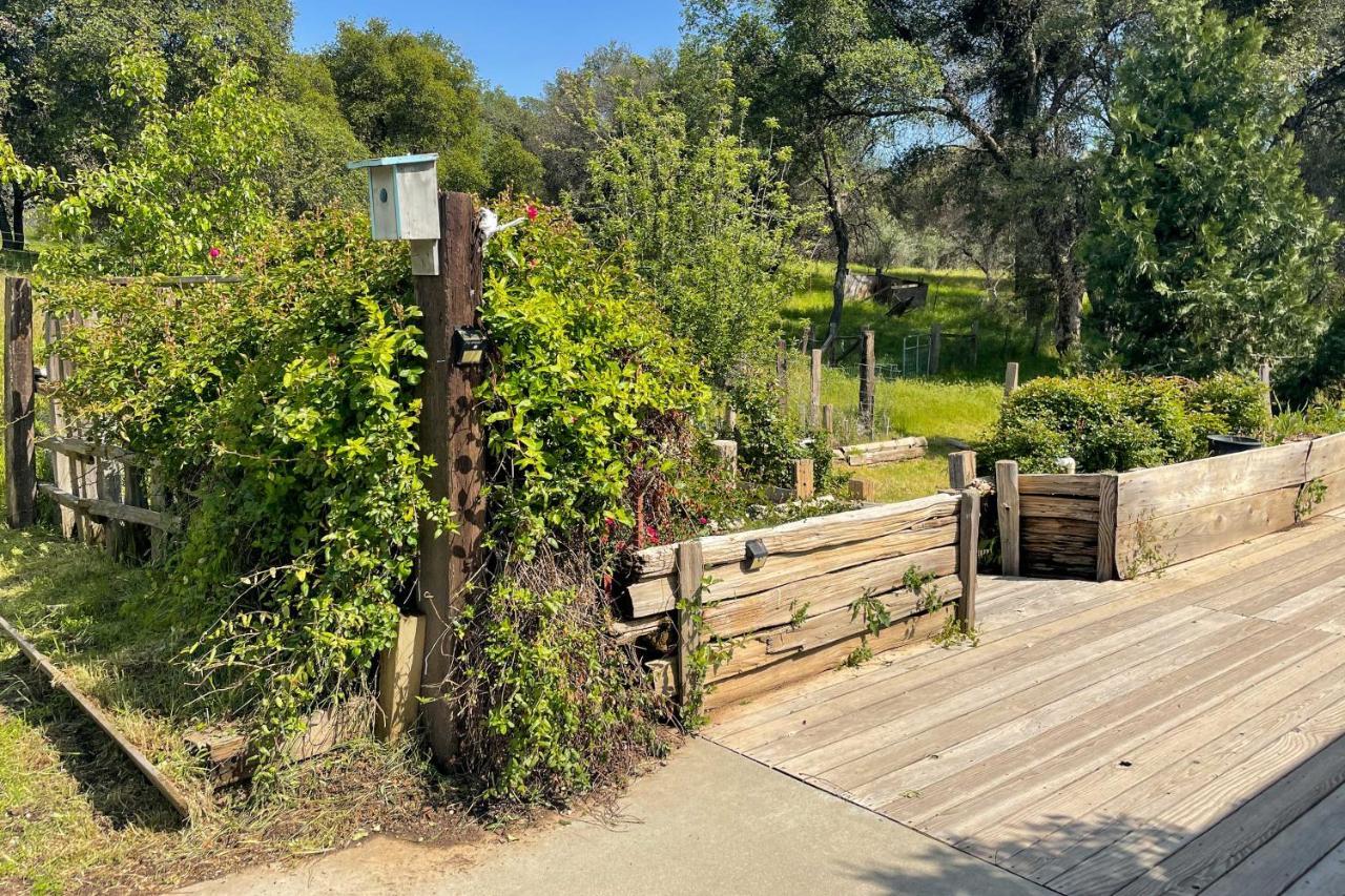 Serene Sanctuary About 20 Mi To Yosemite *